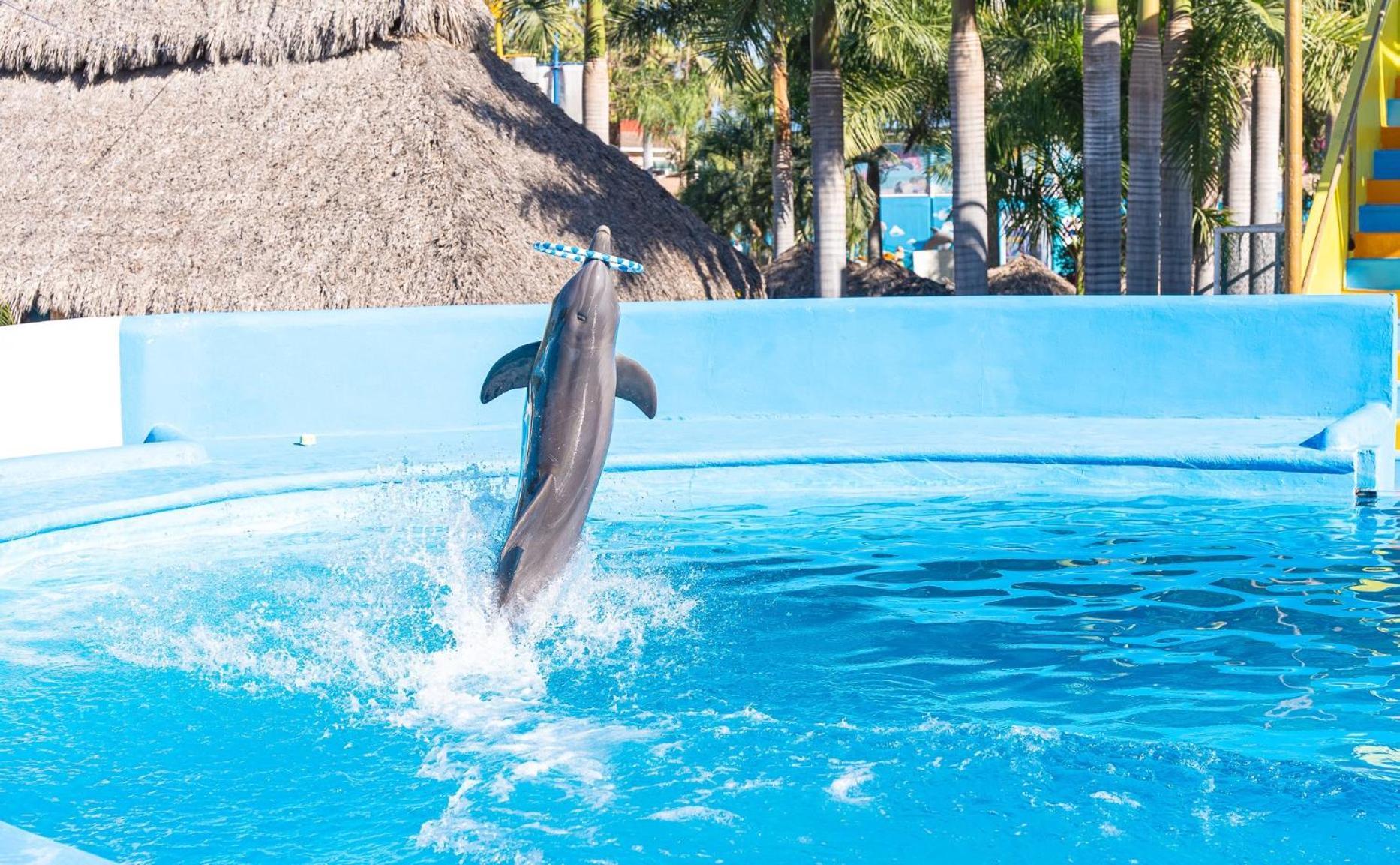 Splash Inn Nuevo Vallarta&Parque Acuatico Exterior foto